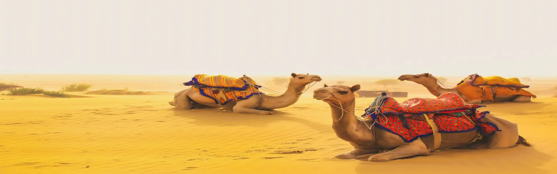 rajasthan